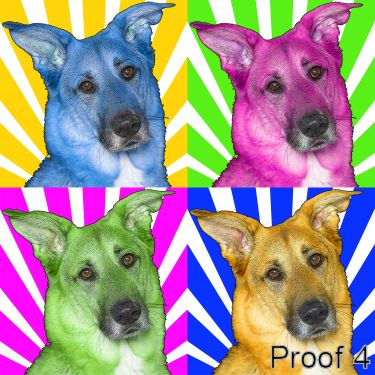 custom dog portraits and gifts from your photographs
