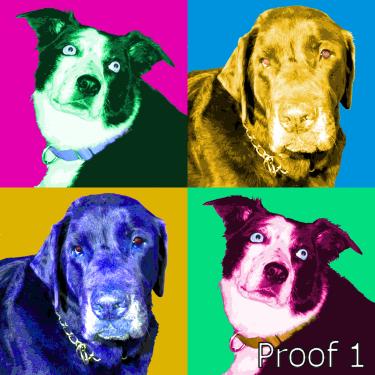 Custom dog art portraits