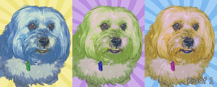 Triptych Warhol Style Art