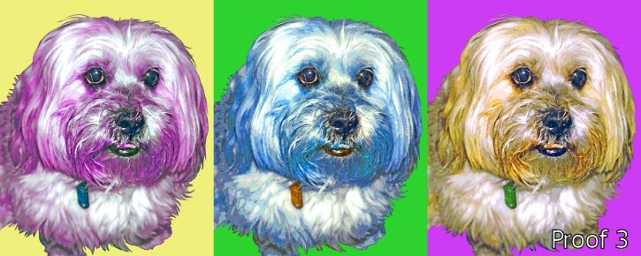 Custom portrait Triptych