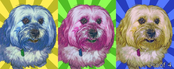 Triptych pet portrait Warhol style
