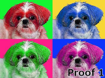 pop art pet portrait shih tzu gifts