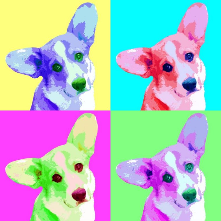 Corgi art portrait