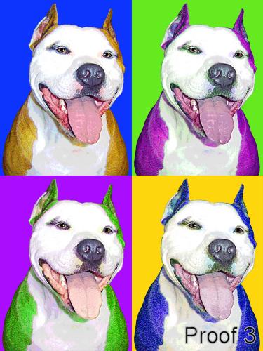 Portrait of a Pit Bull Art 
