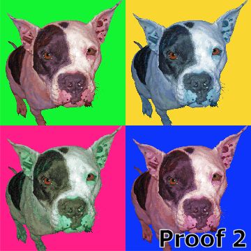 Fun Pit Bull Portraits