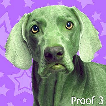 Custom Weimaraner portrait