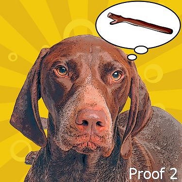 German Short Haired Pointer custom art