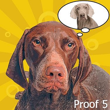 German Short Haired Pointer portrait