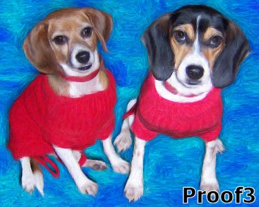 Custom dog portraits