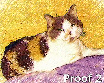 custom cat portrait