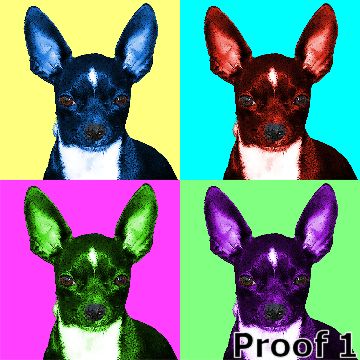 chihuahua pop art pet portrait