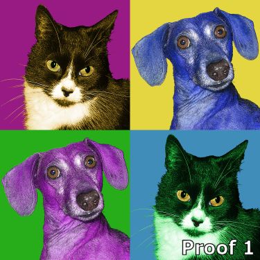 pop art pet portrait