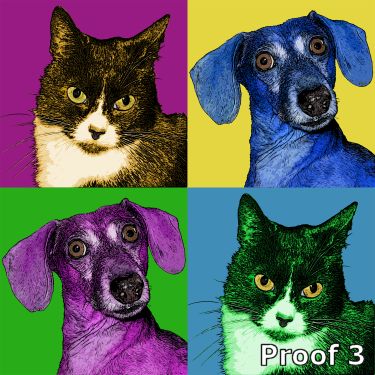 Pet pop art portraits