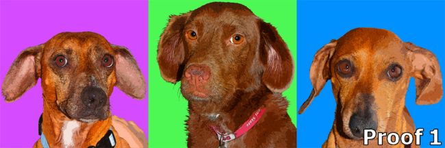 Triptych Warhol Style Art Dogs
