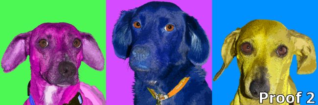 Custom Dog Art Triptich