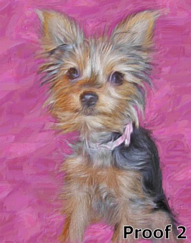 Yorksire Terrier custom dog art
