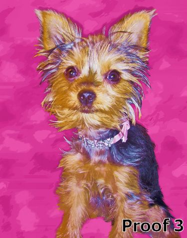 Custom Yorkie Terrier Art form PopArtPet