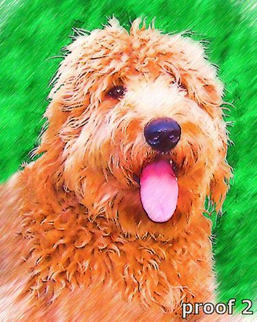 Golden Doodle art