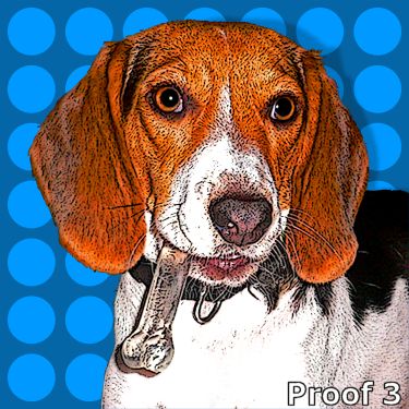 Warhol style portrait of a Beagle