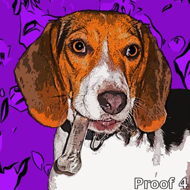  Breed Specific Portrait of Louise the Beagle