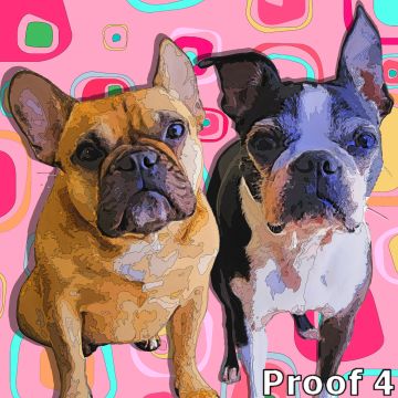 Boston Terrier portraits and gift items
