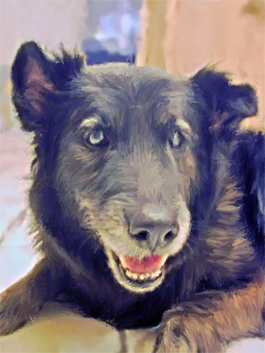 Lucky Portrait 