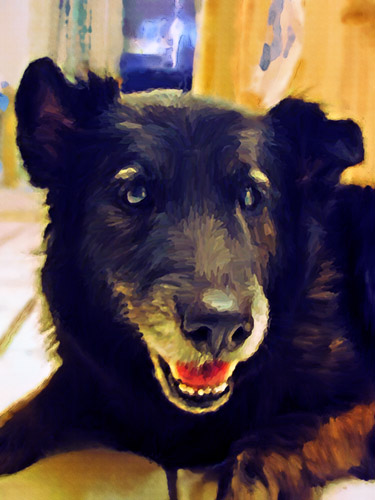 Pop Art Lucky Portrait