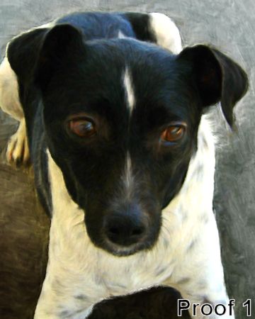 pet rat terrier portrait gifts