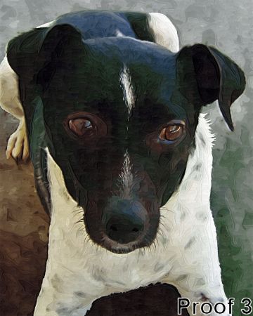 art dog portrait Rat