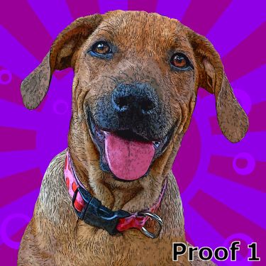Rhodesian Ridgeback portraits and art