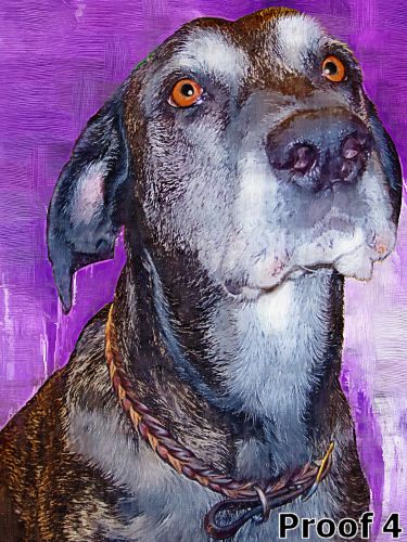 Dog art portraits and gifts