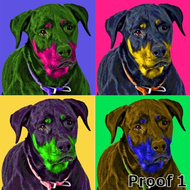 Rottweiler pop art portrait