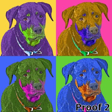 Rottie pop art portrait