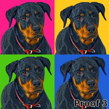 Rottweiler custom pop art portrait
