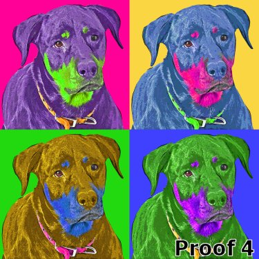 Rottweiler custom portrait