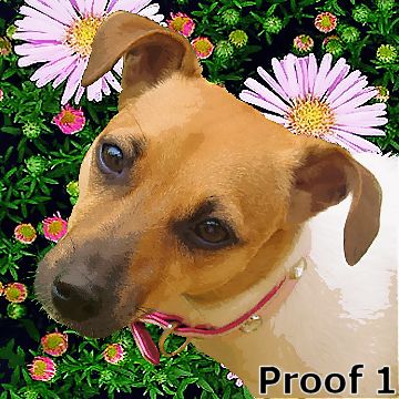 JRT Art