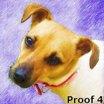 Custom Parson Russell Terrier art