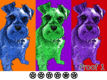 Schnauzer pop art