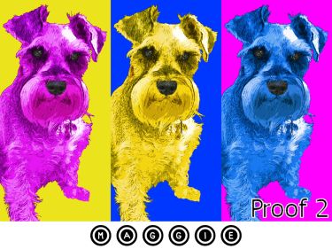 pet Schnauzer art portrait