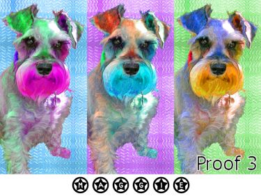 pop art portrait Schnauzer