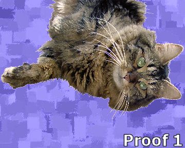 pet portrait cat gifts