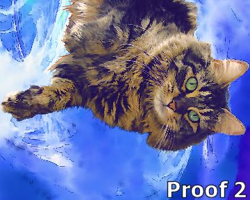 custom cat portrait