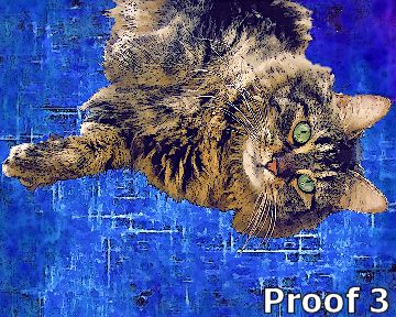 custom cat art portrait and gifts
