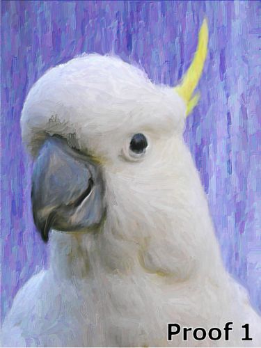 Custom Cockatoo Portrait Pop Art Style
