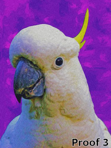 pop art pet portrait Cockatoo
