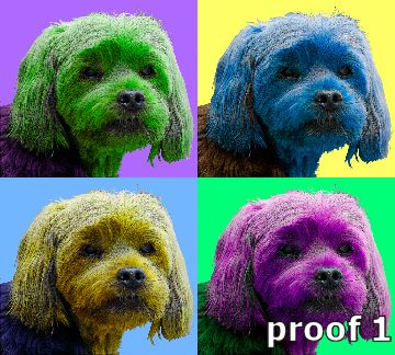 Warhol Style Yorkie Terrier art