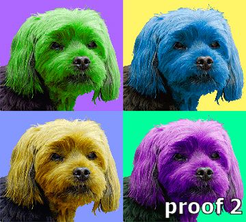 Yorkie Terrier Warhol Style portraits