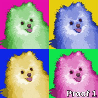 pom portraits for the pomeranian lover
