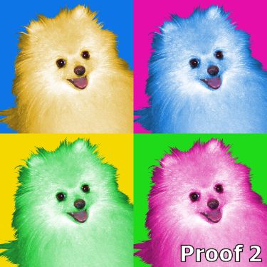 Fun custom Pomeranian Art