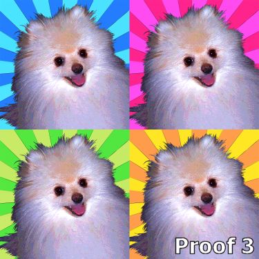 Pomeranian Art Portrait and gift items